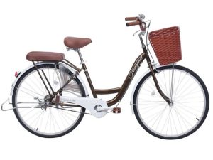 Xe Đạp Thống Nhất New 24 inch hàng Việt Nam