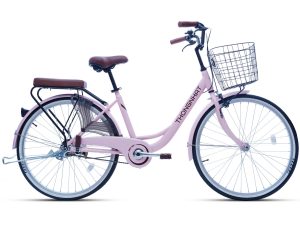 Xe Đạp Thống Nhất LD 26 hàng chính hãng
