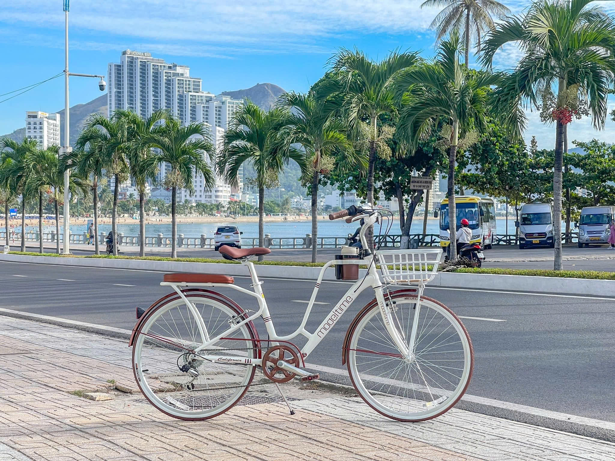 Xe Đạp California Modeltime Cacao nữ