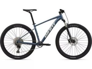 Xe Đạp Địa Hình MTB GIANT Talon 29"1M - 2022
