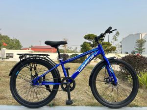 Xe đạp Wahama Power 26″ phanh đĩa ( DT)
