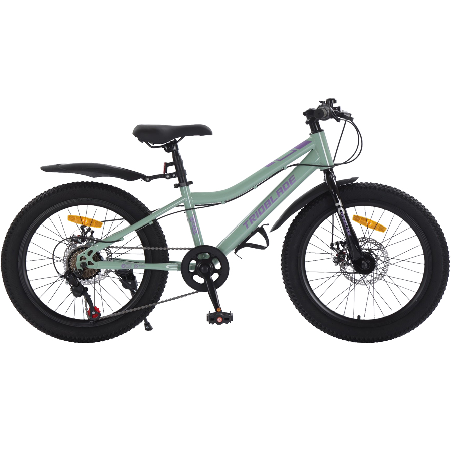 Xe Đạp Trẻ em TRIOBLADE TC300